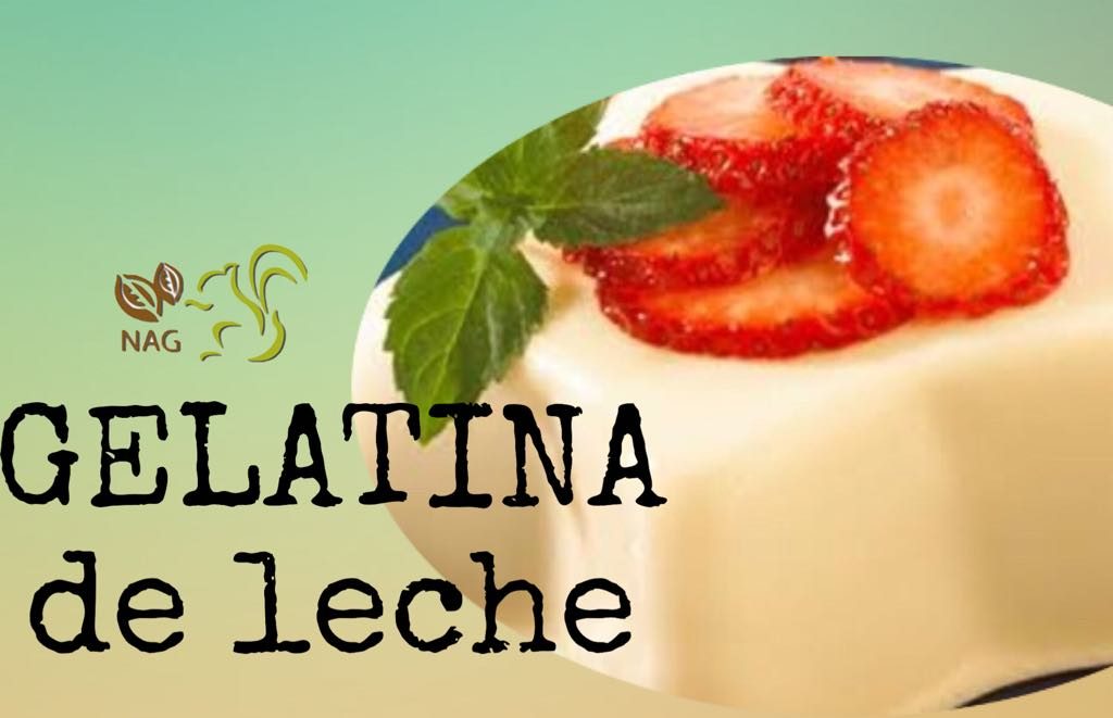 Gelatina de leche, vainilla y canela. REMANU