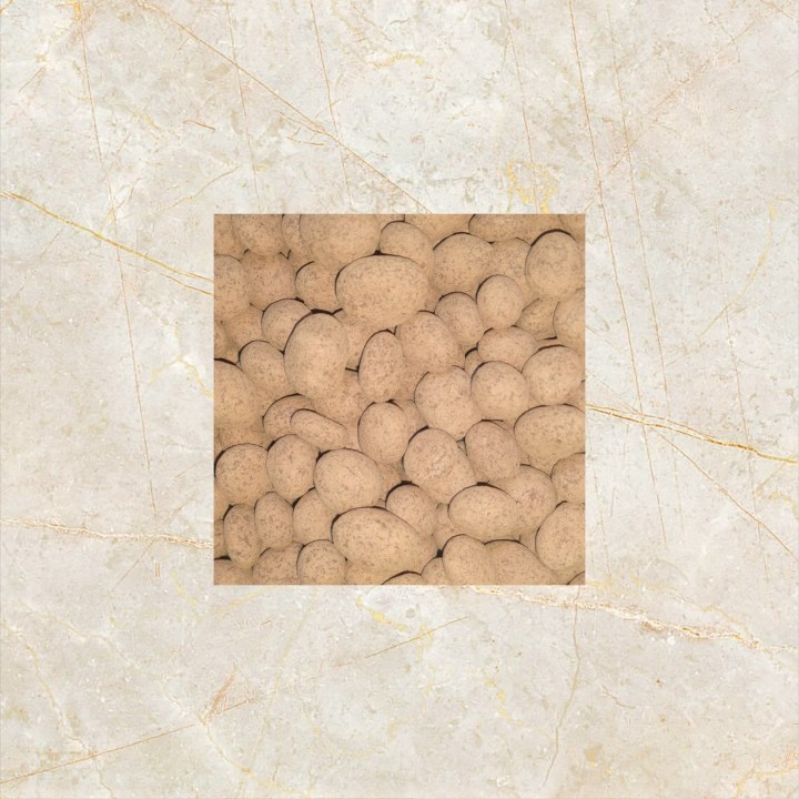 pasa cocoa-Photoroom
